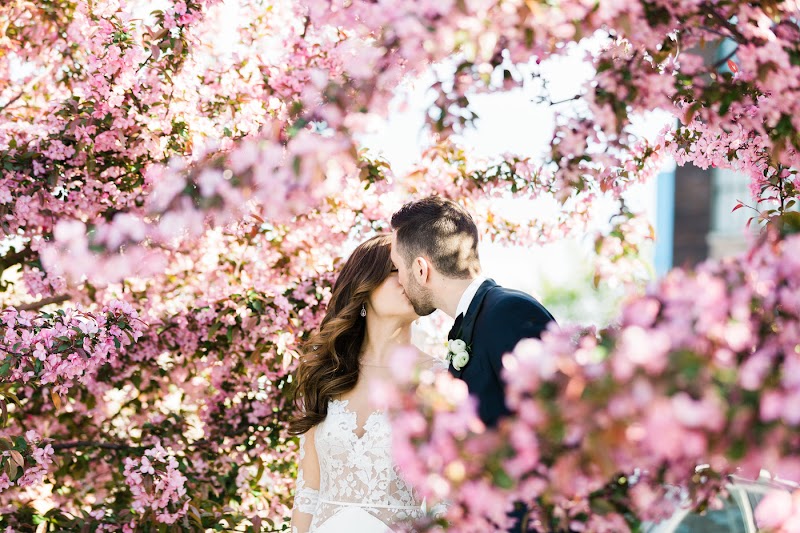 Venue Logic | Weddings | Corporate Events