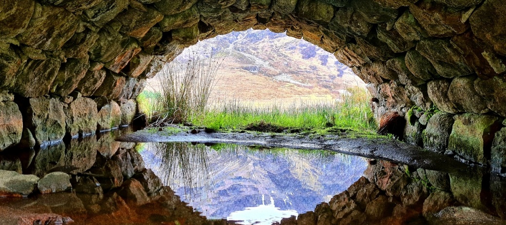 Best Dog-Friendly Hotels in Scottish Highlands, United Kingdom