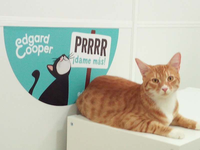 Clínica Veterinaria El Parque