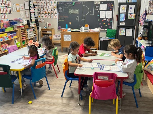 Photo by Whiz Kidz Academy