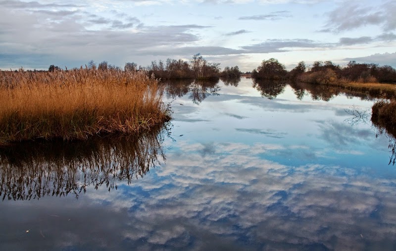 Bezoekerscentrum Nieuwkoopse Plassen
