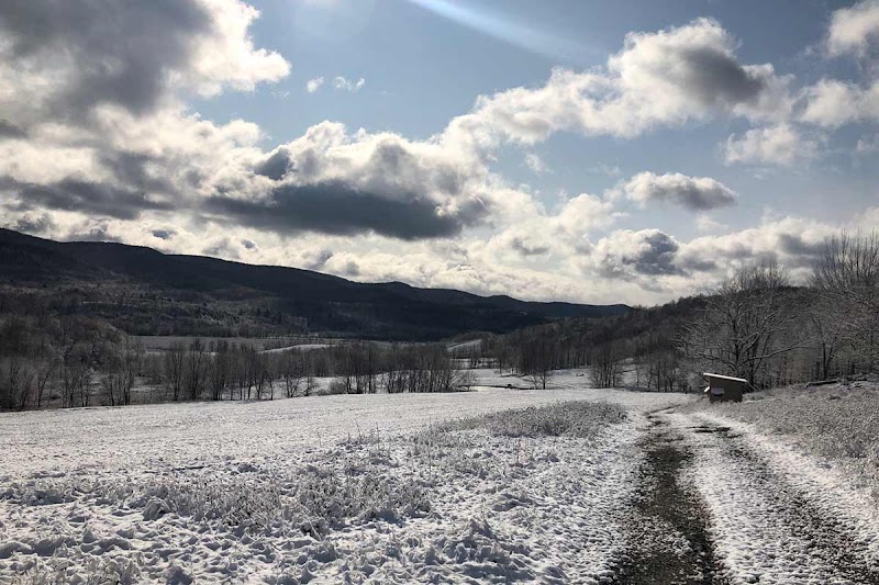 BattenKill Farms - Photo 4