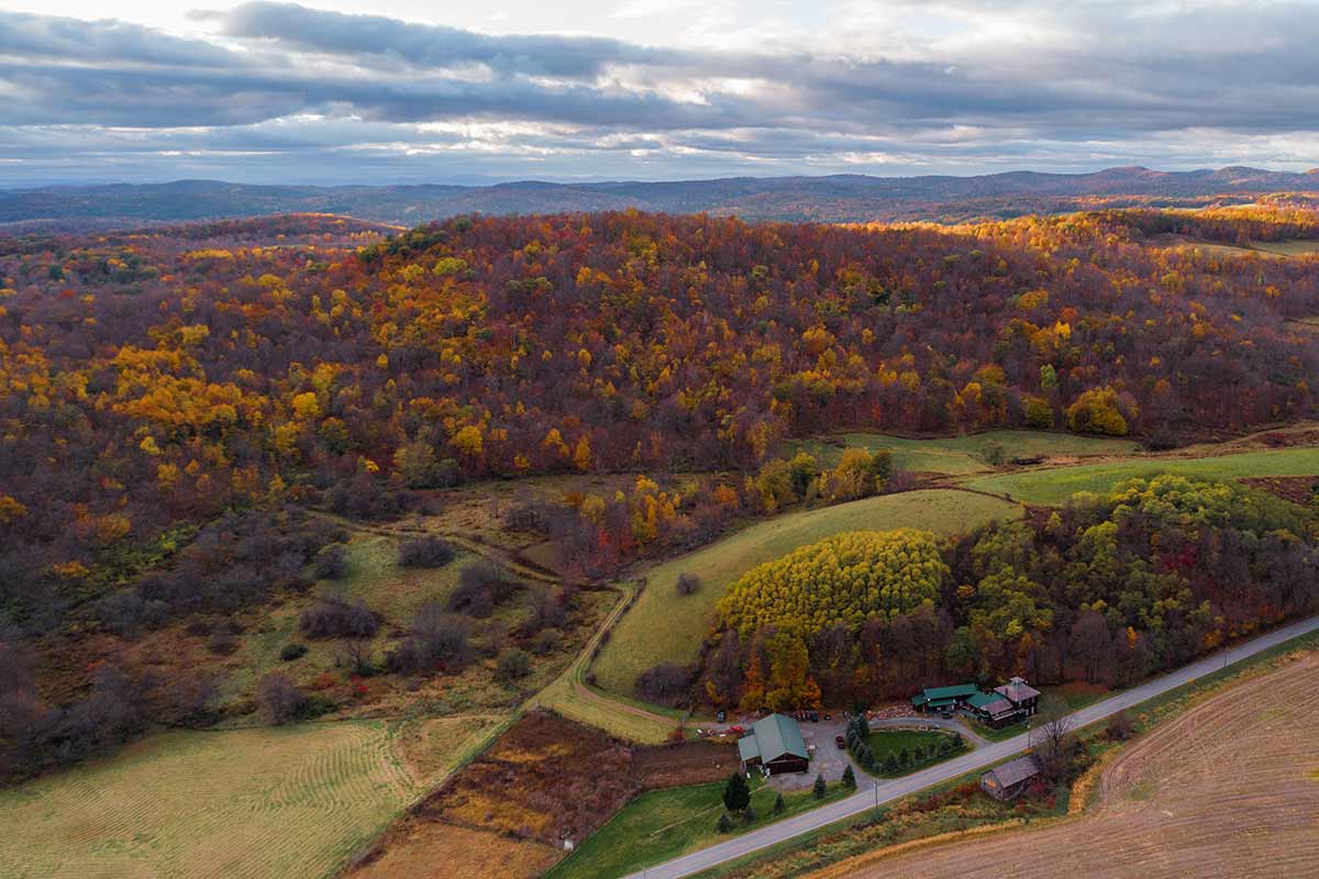 BattenKill Farms
