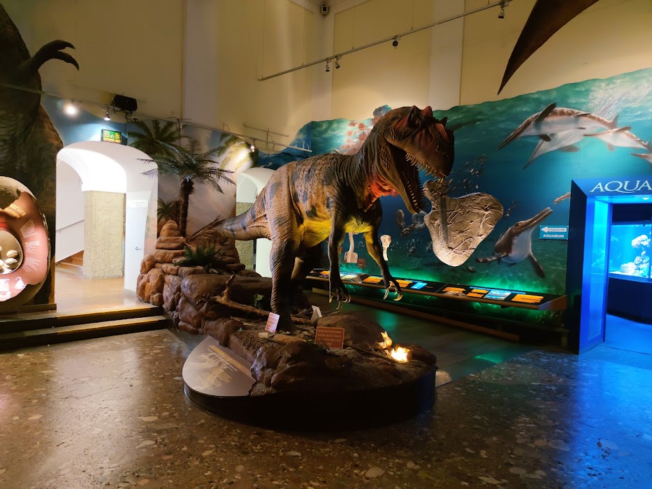 Haus der Natur - Museum für Natur und Technik fotoğraf 1