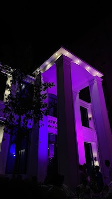 فناء ورد PATIO ROSES