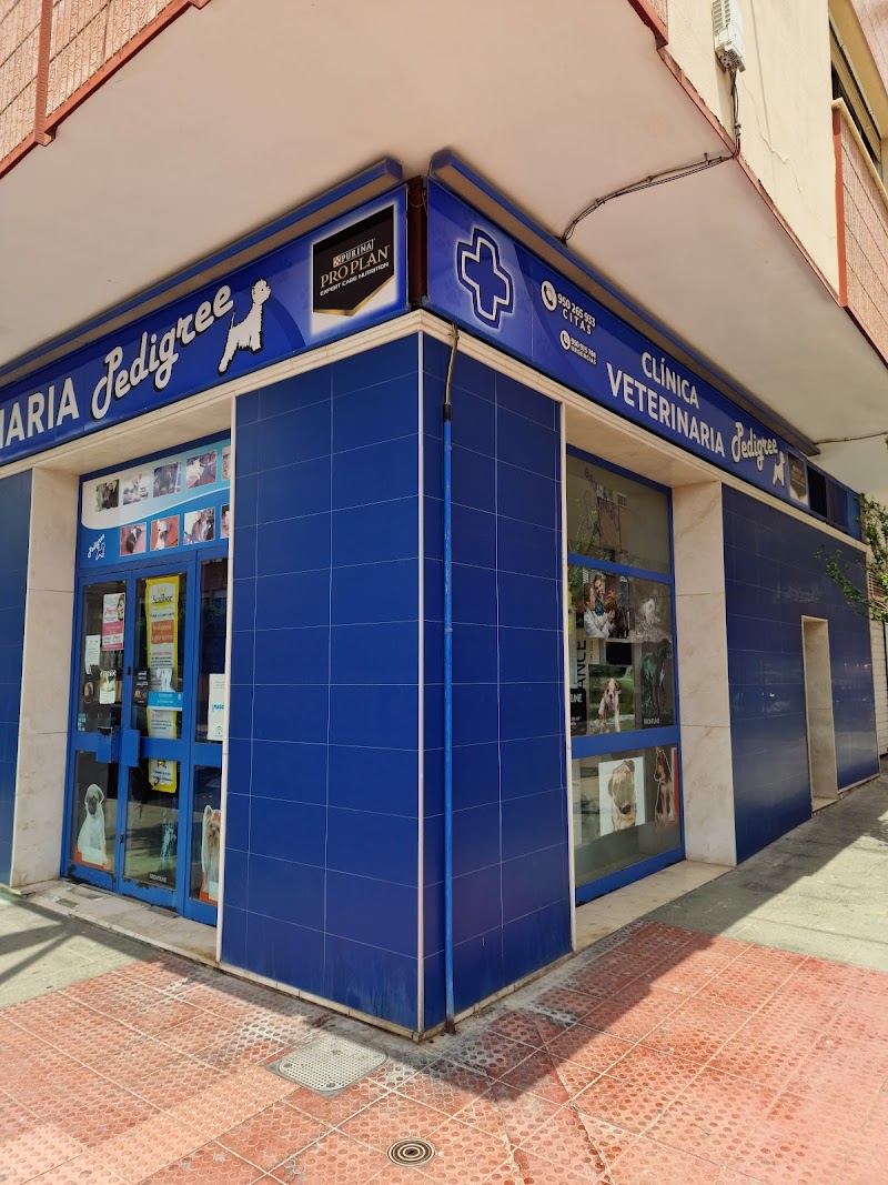 Clinica Veterinaria Pedigree