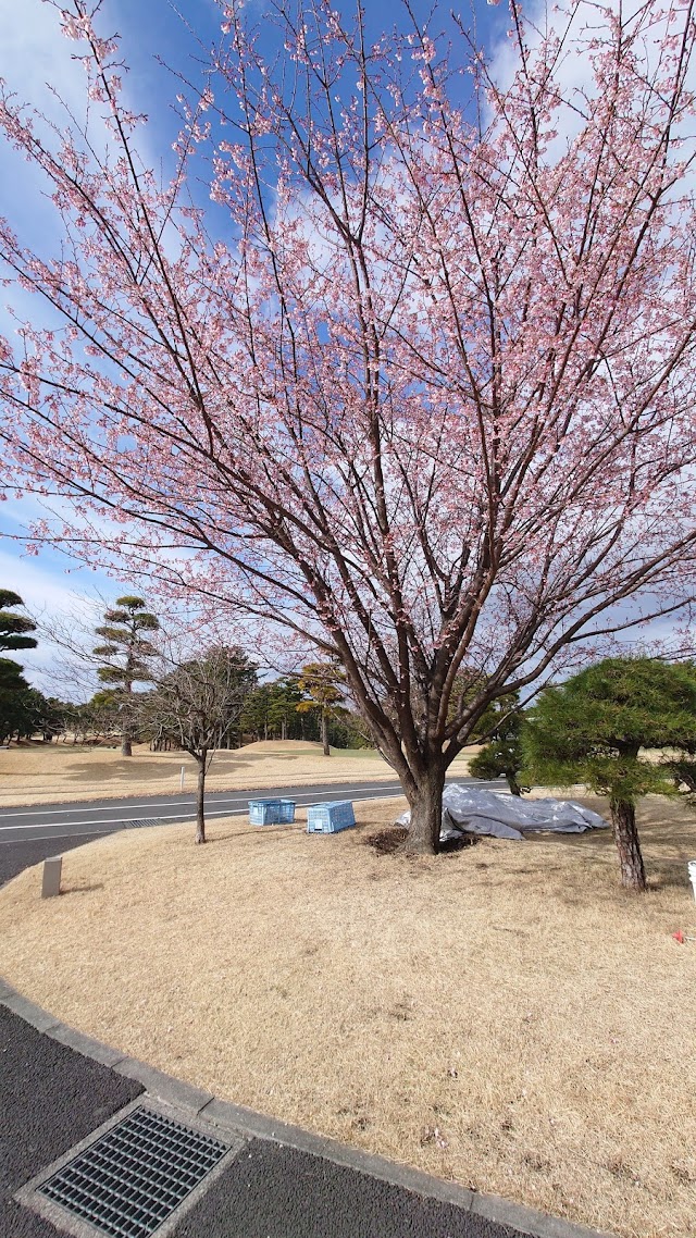 Shonan Country Club - Photo 10