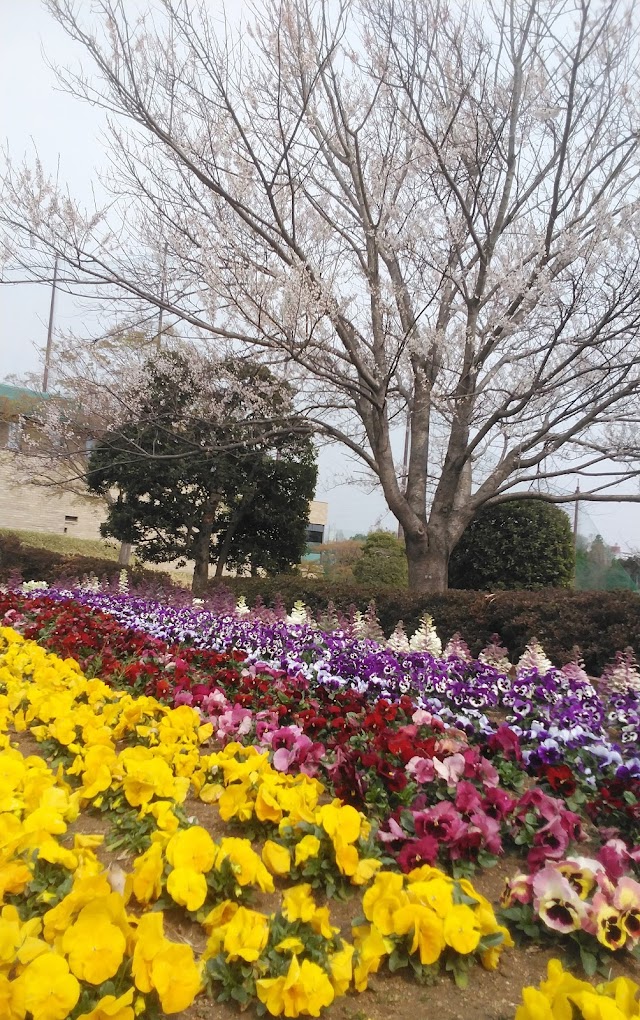 Shonan Country Club - Photo 9