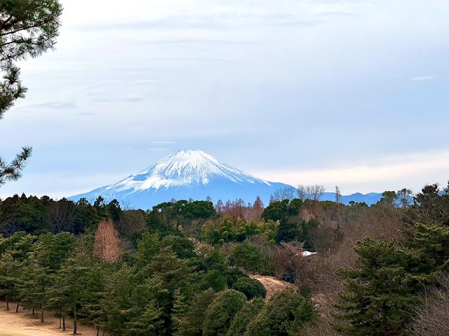 Shonan Country Club - Photo 3