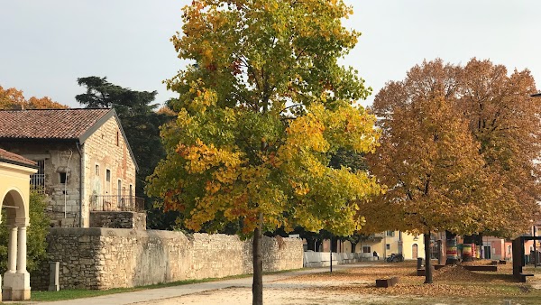 Sant'Eufemia della Fonte 1