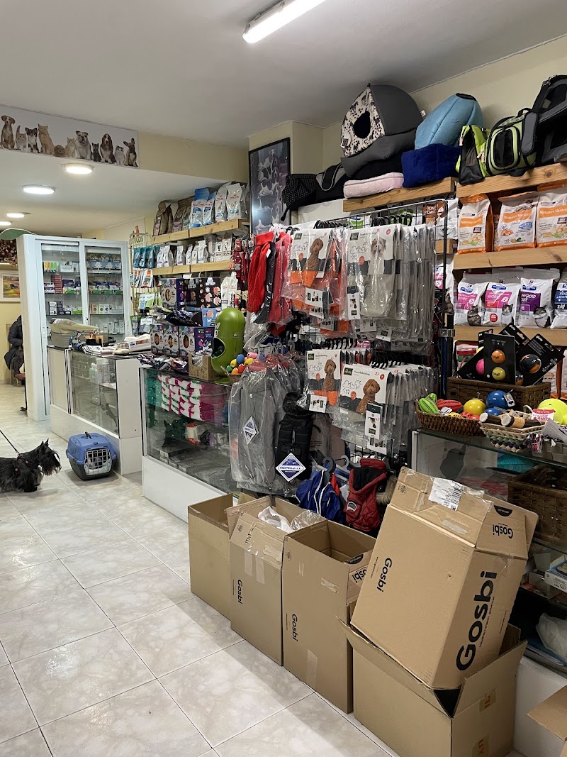 Clinica Veterinaria Amigos