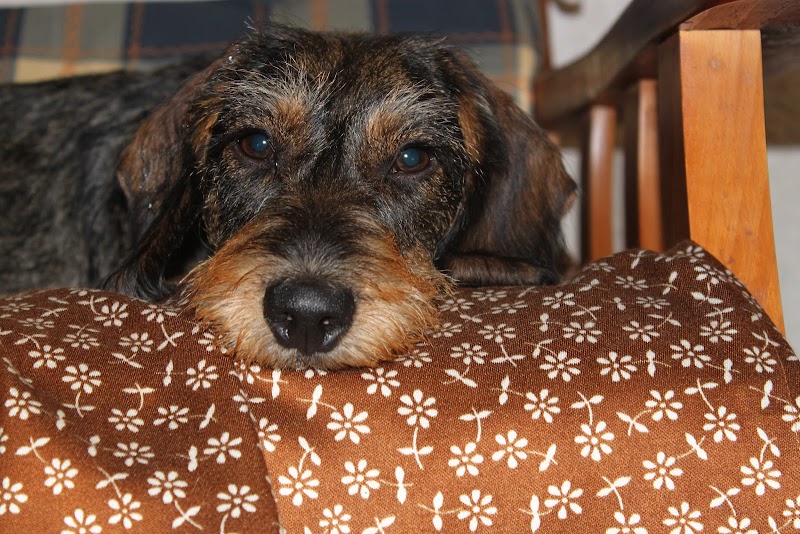 Centro Veterinario Rioja