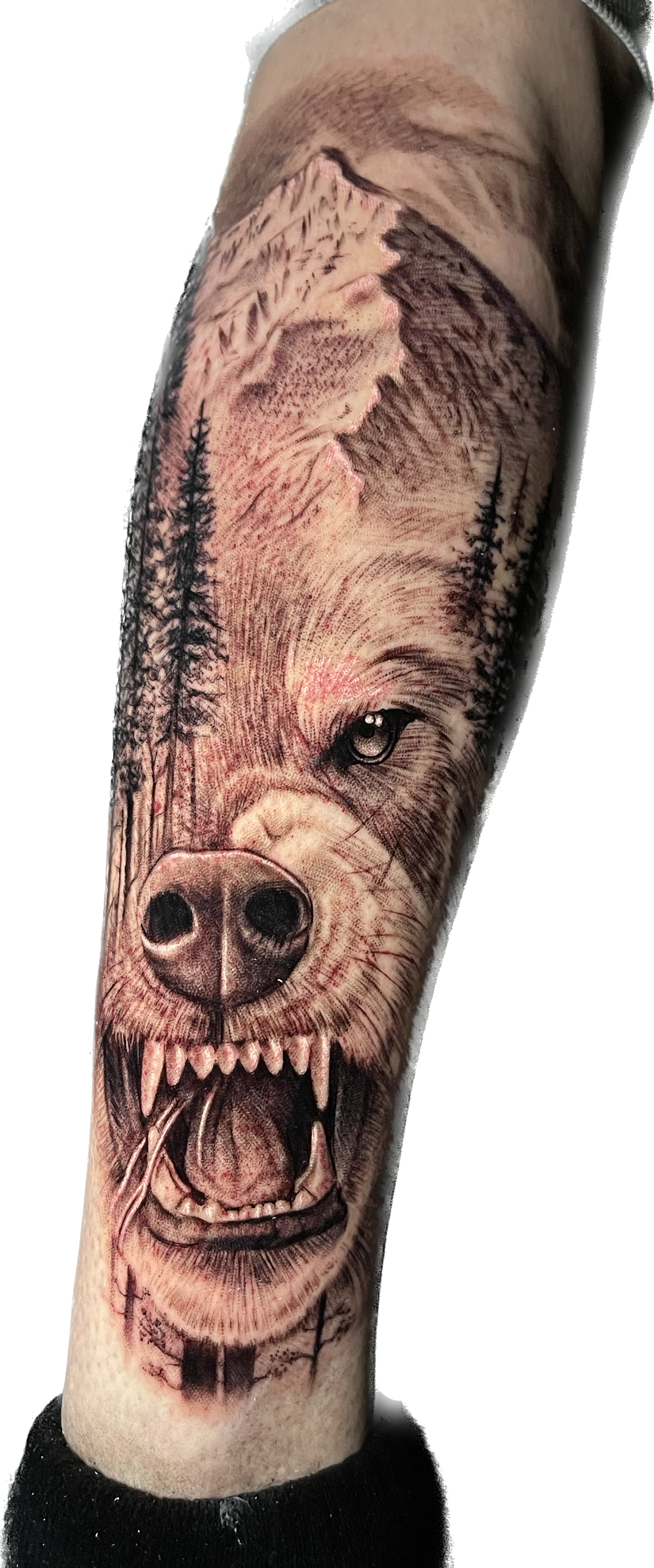 Eze-Boi Family Studios tattoo parlor in Thornton, CO