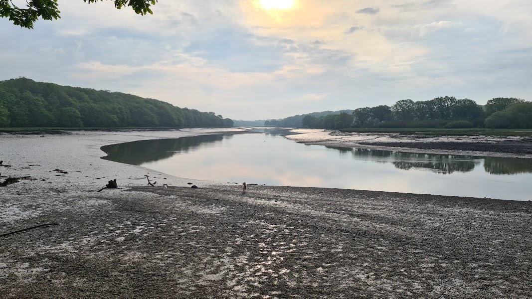 River Hamble Country Park