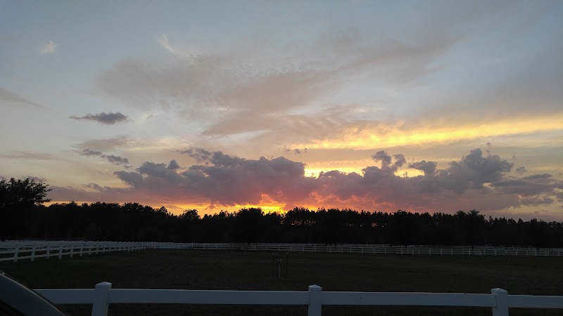 Florida Horse Ranch-Private - Photo 1