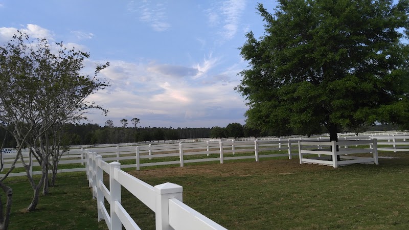 Florida Horse Ranch-Private - Photo 2