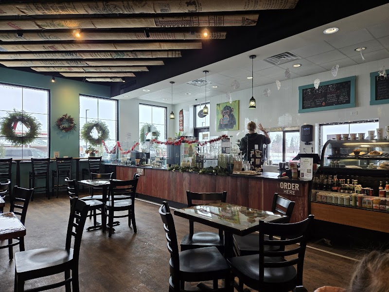 Mocha Monkey photo 3