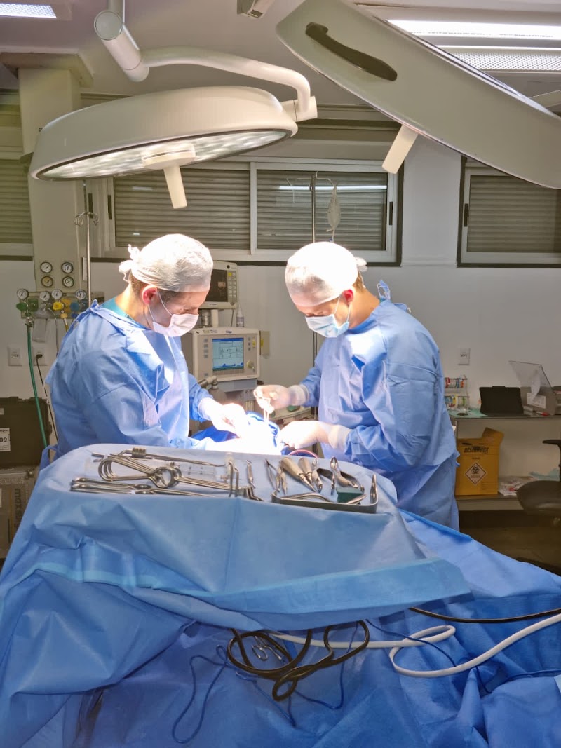 CORDIALLE ODONTOLOGIA - foto 4