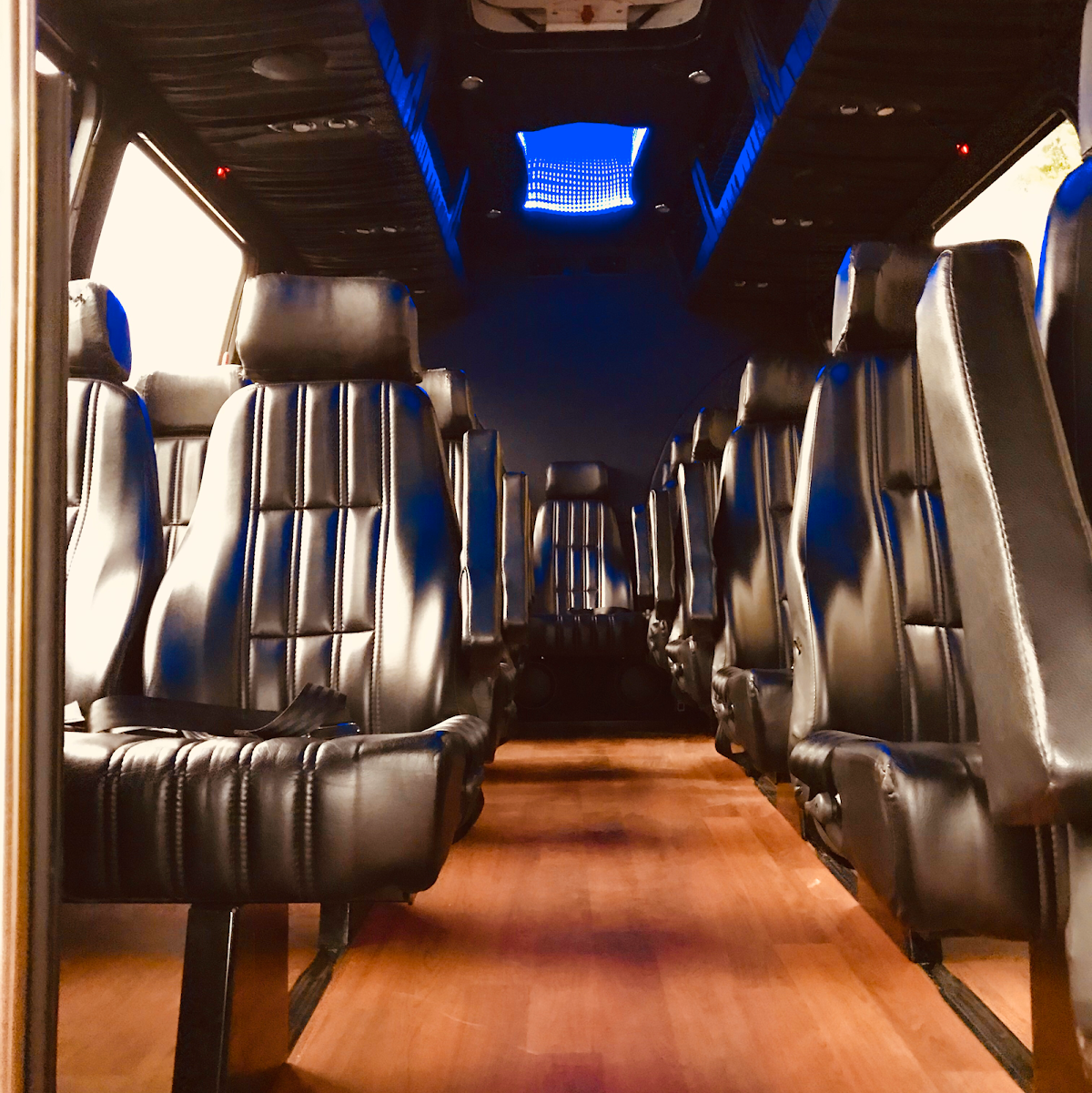 Paradise Transit: Google Places image 3