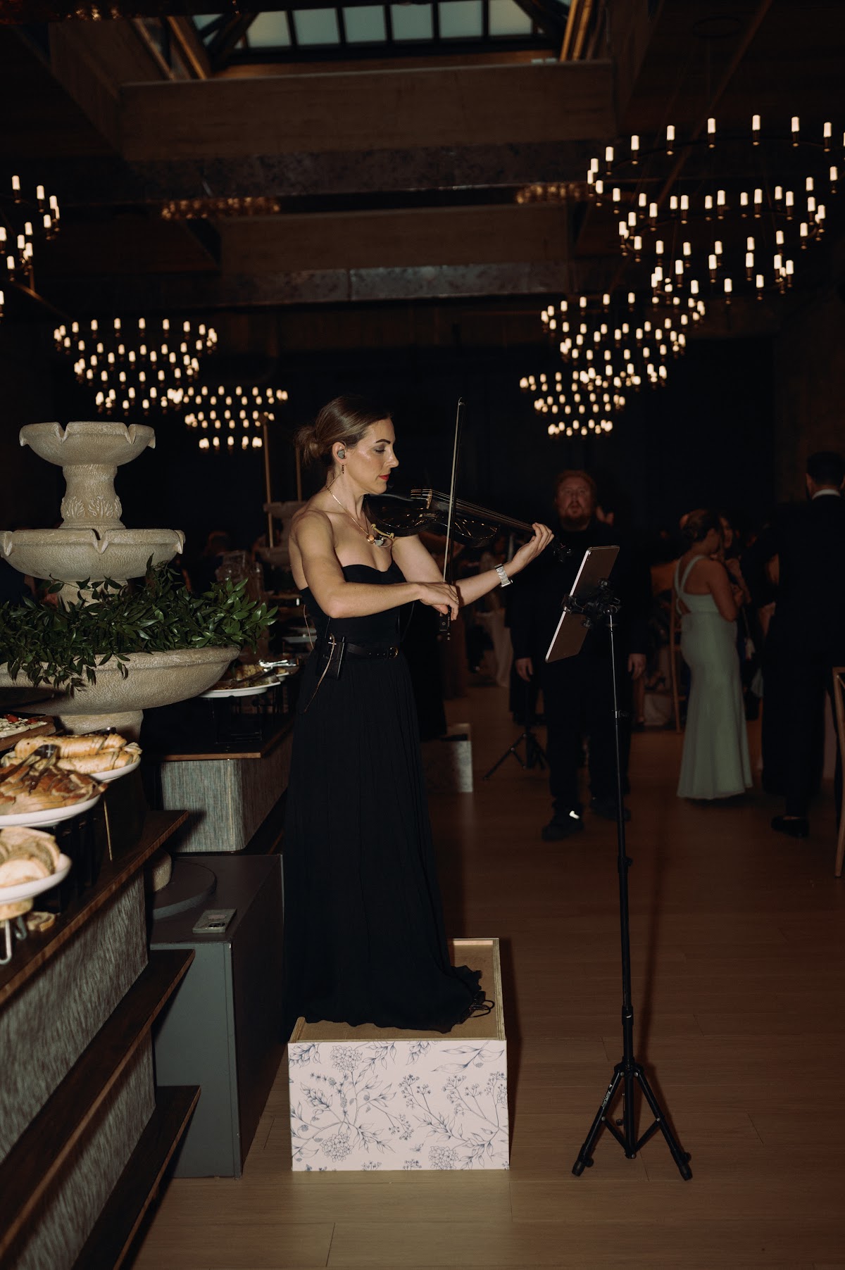 Andrea Levine Artists | String Quartet Philadelphia: Google Places image 4