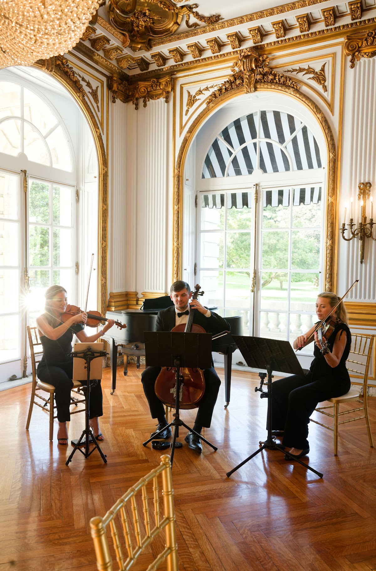 Andrea Levine Artists | String Quartet Philadelphia: Google Places image 3