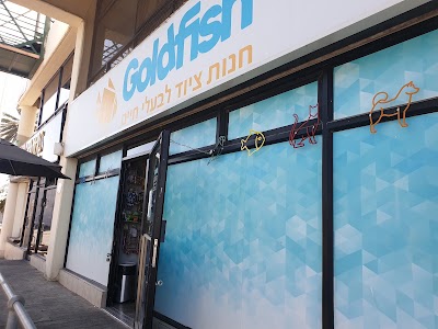 גולד פיש חנות חיות,יבנה