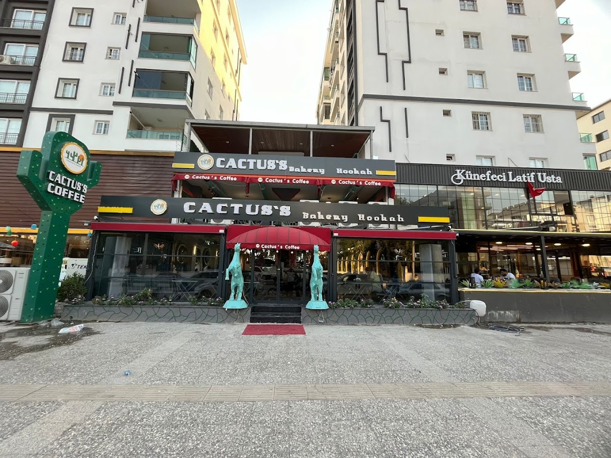 CACTUS'S COFFEE