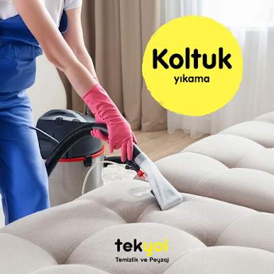 Tekyol Temizlik ve Peyzaj - Temizlik - Araban