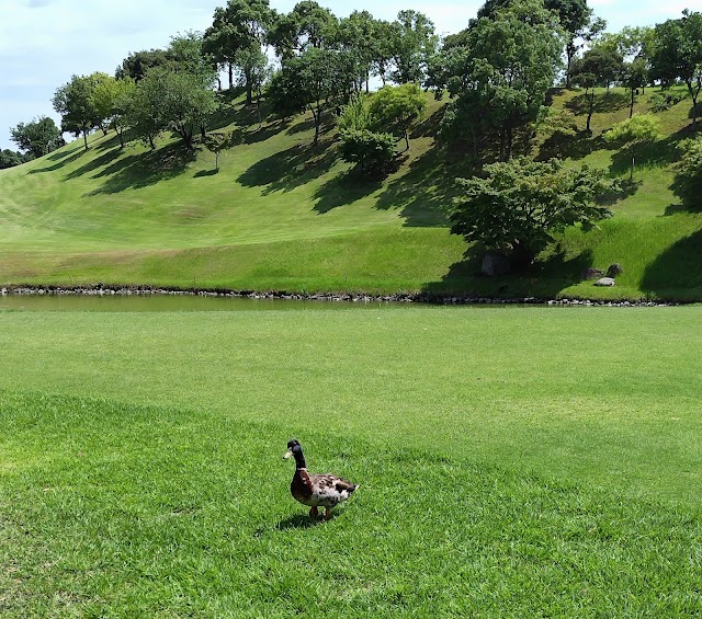 Yamato Fudo Country Club - Photo 1