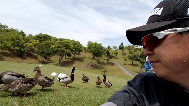 Yamato Fudo Country Club - Photo 8