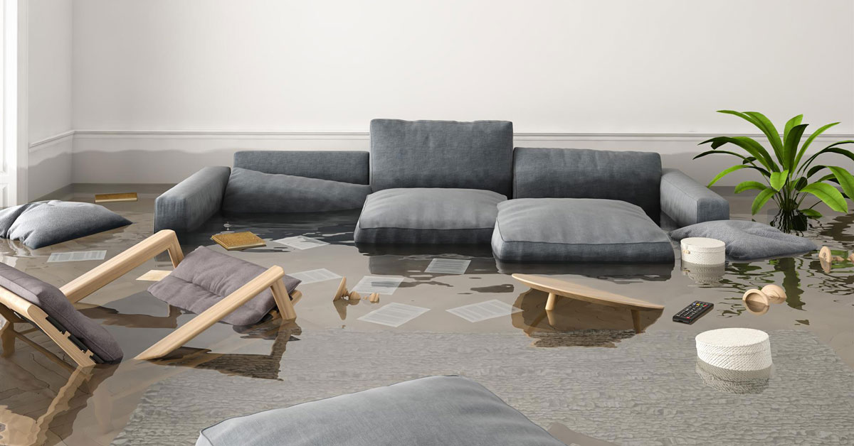 Water Damage Restoration Of St Paul Mn — photo
