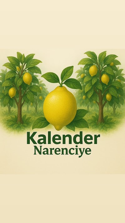 KALENDER NARENCİYE - Nakliyat