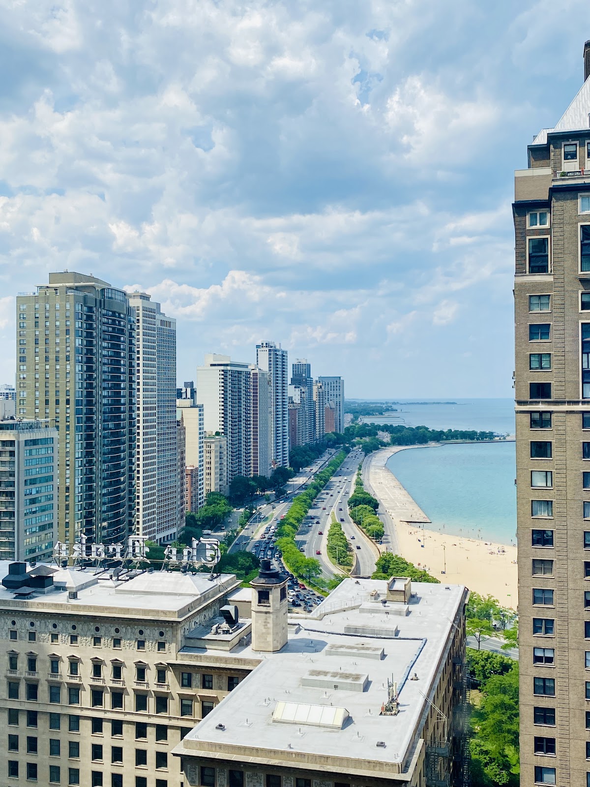The Westin Michigan Avenue Chicago, dog-friendly hotel, photo 4