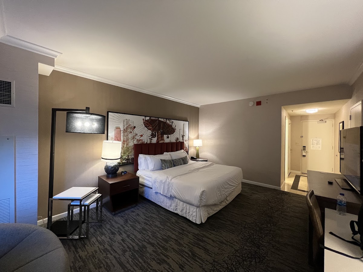 The Westin Michigan Avenue Chicago, dog-friendly hotel, photo 3