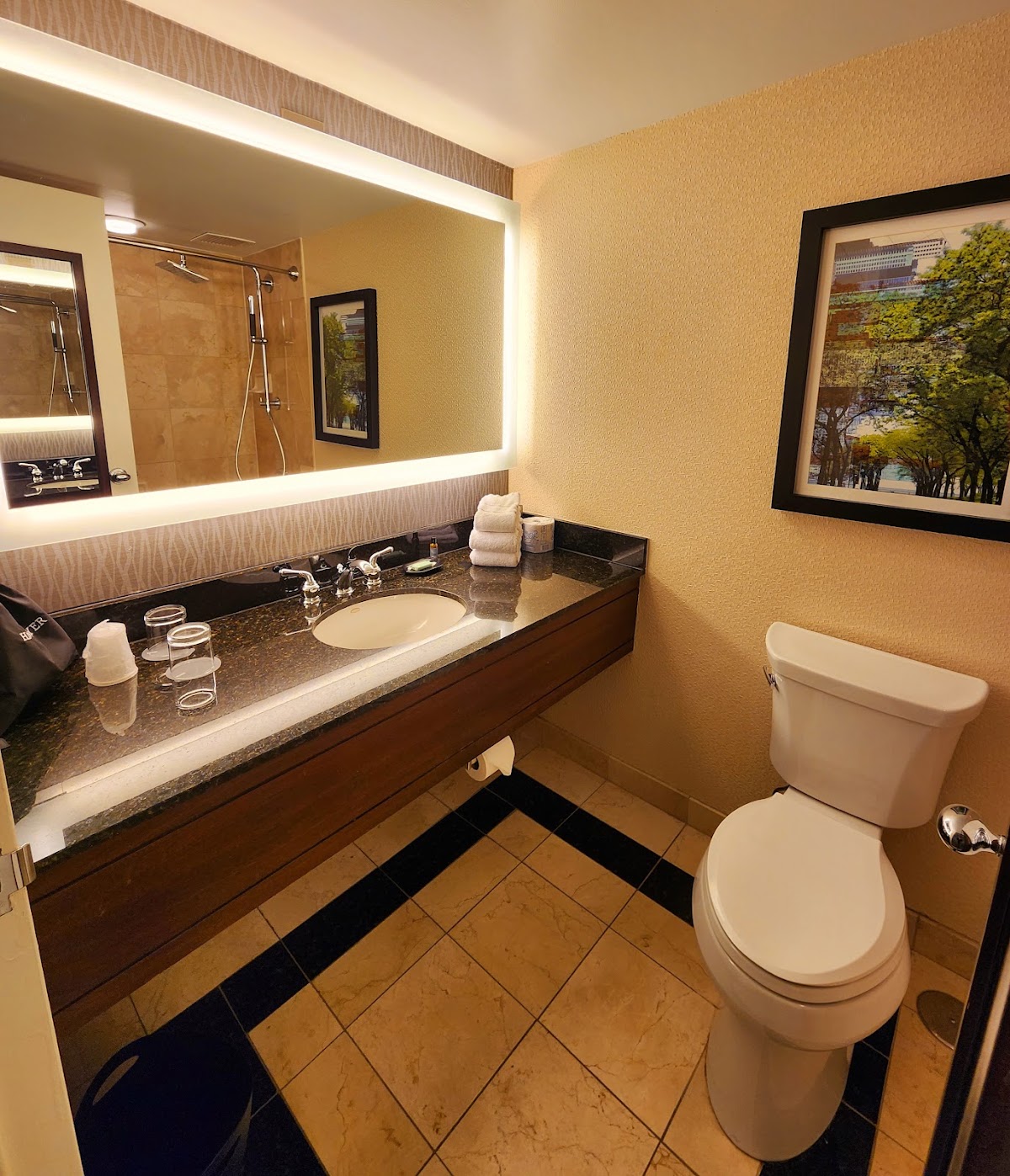 The Westin Michigan Avenue Chicago, dog-friendly hotel, photo 2