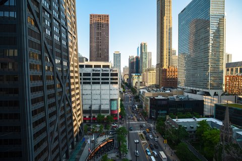 The Westin Michigan Avenue Chicago, dog-friendly hotel, photo 4