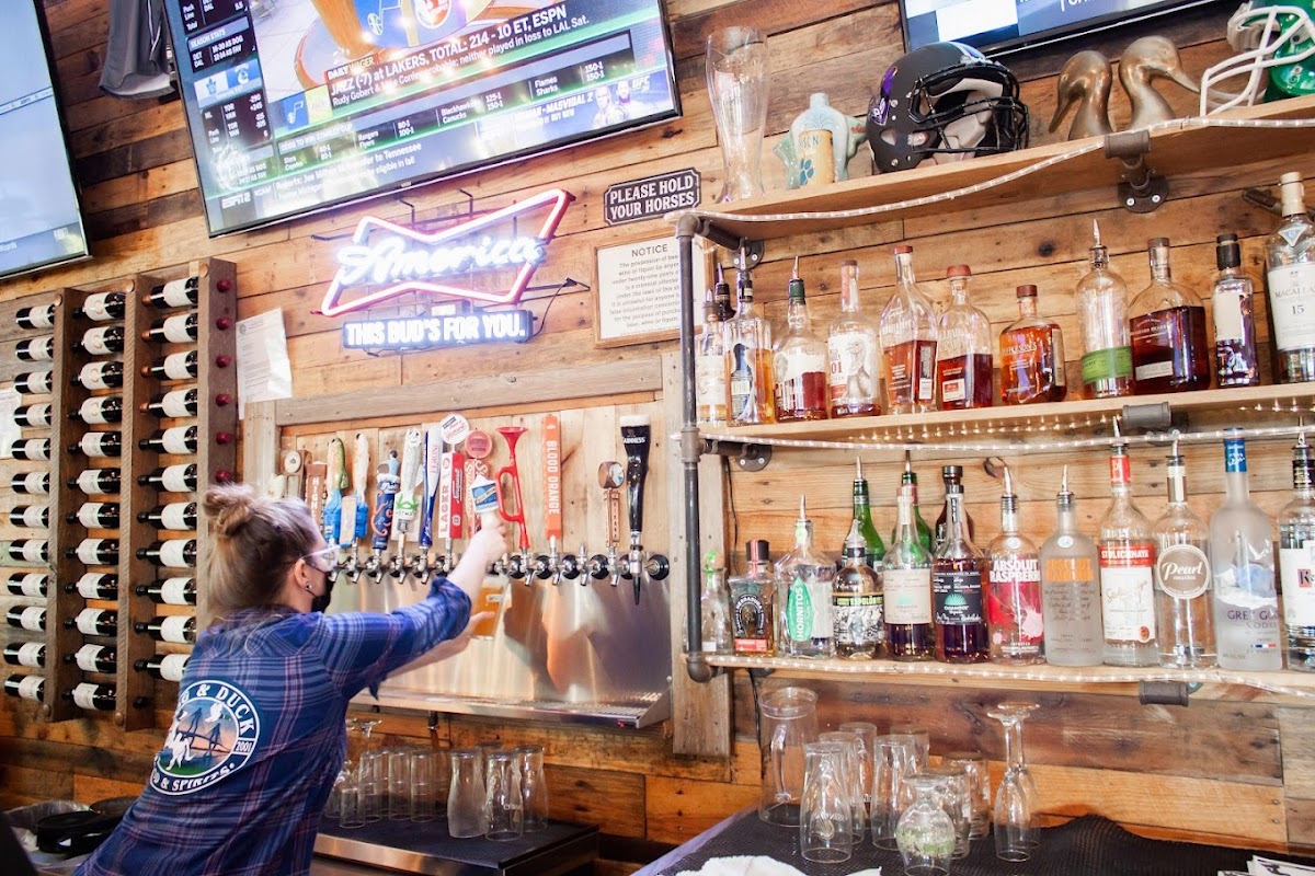 Dog and Duck photo 4