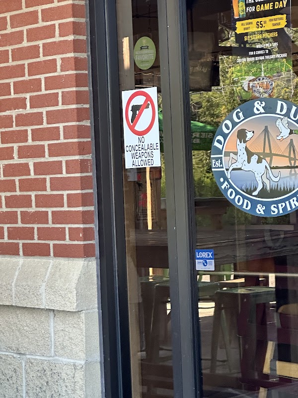 Dog and Duck photo 5