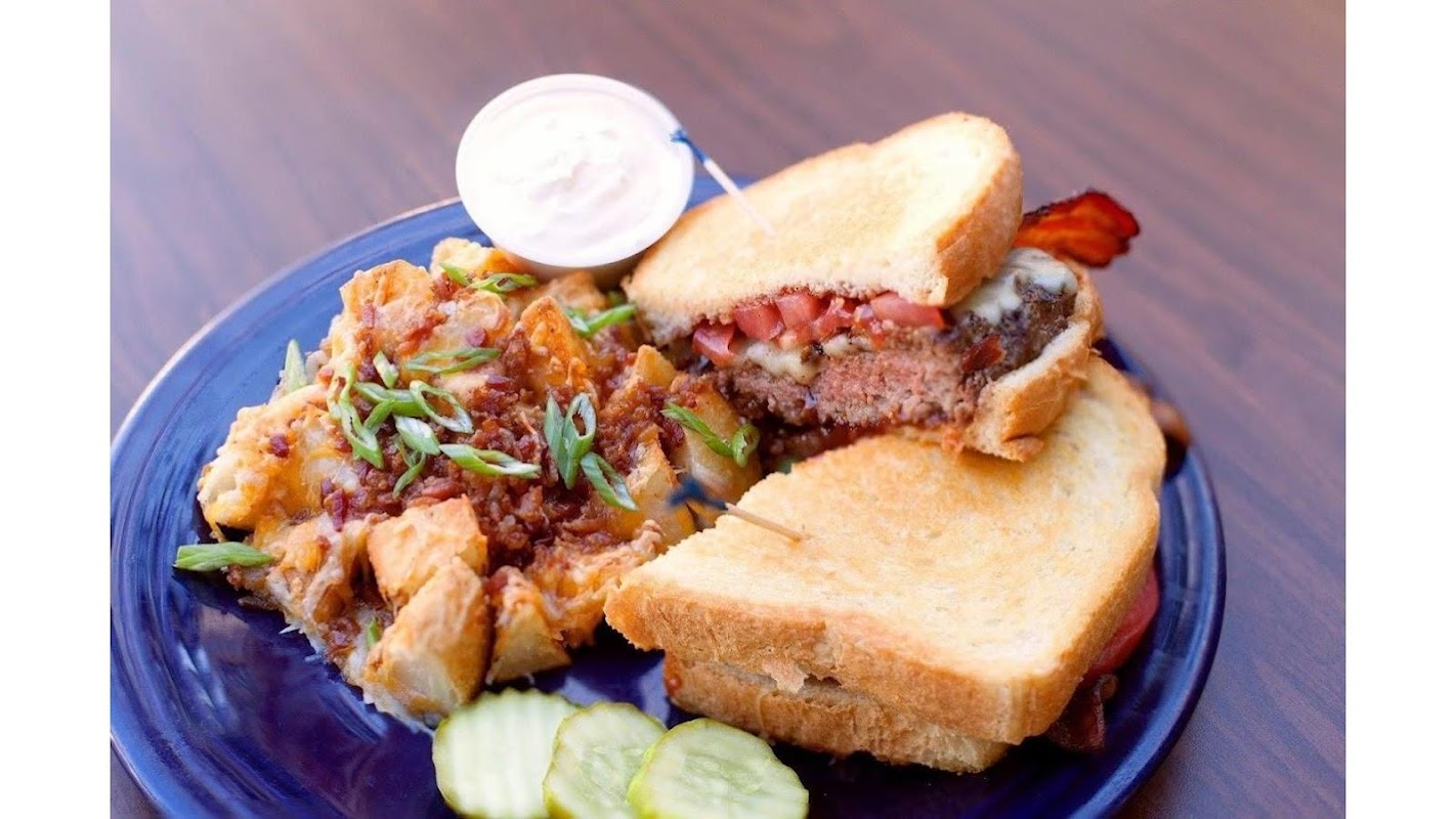 Dog and Duck photo 2