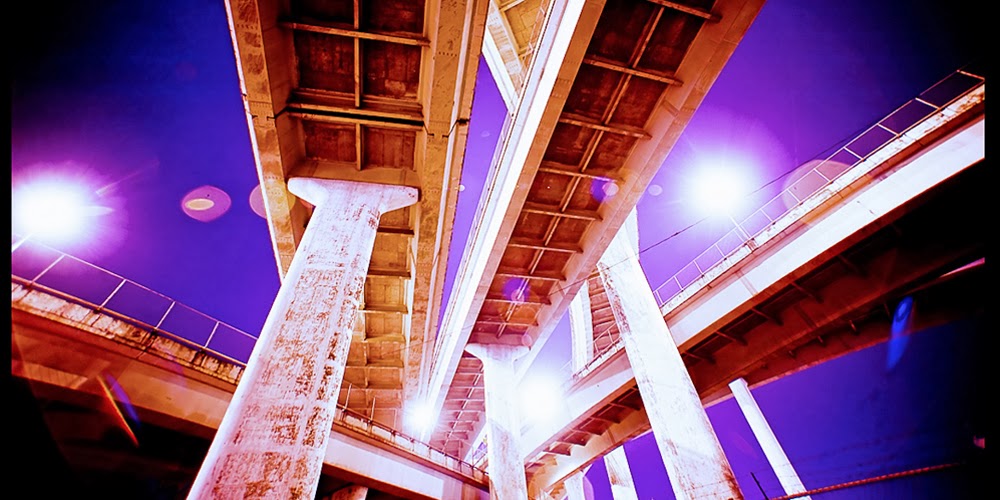 Stephen K. Shefrin Photography: Google Places image 1