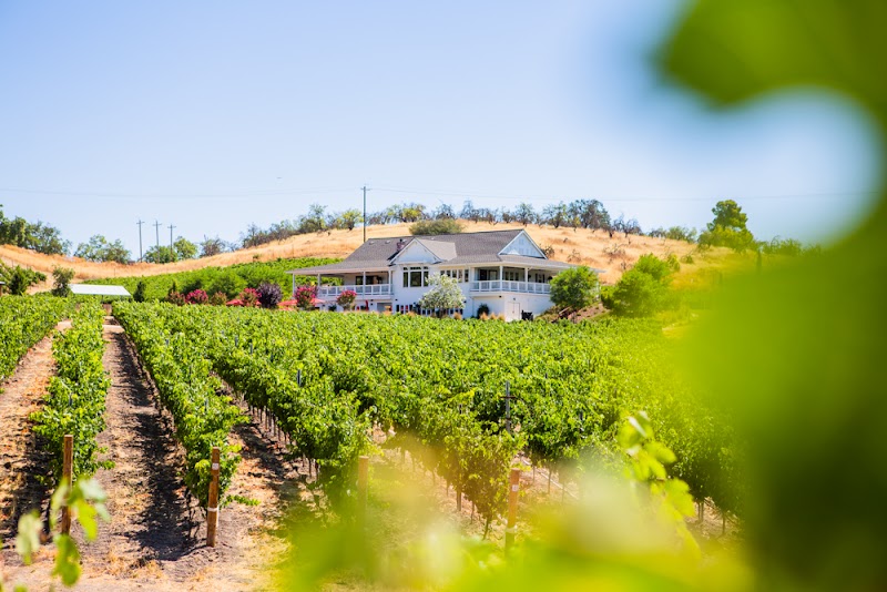 Parrish Family Vineyard
