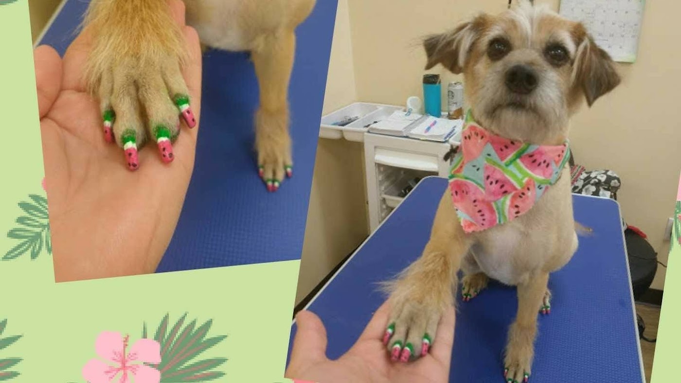 Pawlished Pets Salon & Spa interior