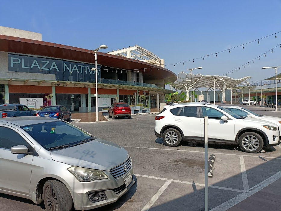 Plaza Nativa fotoğraf 1