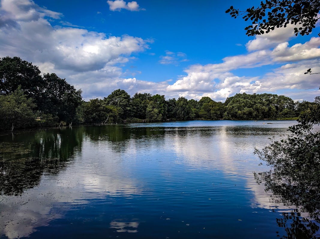 Eastrington Ponds Nature Reserve