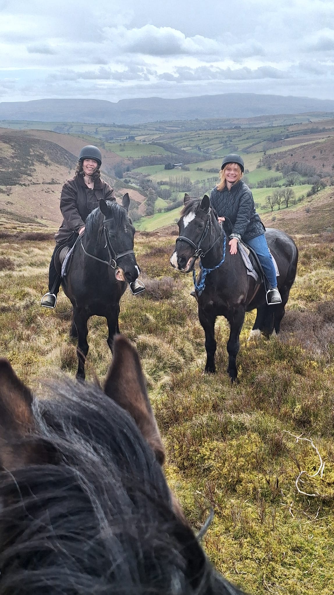 Bryngwyn Riding Centre