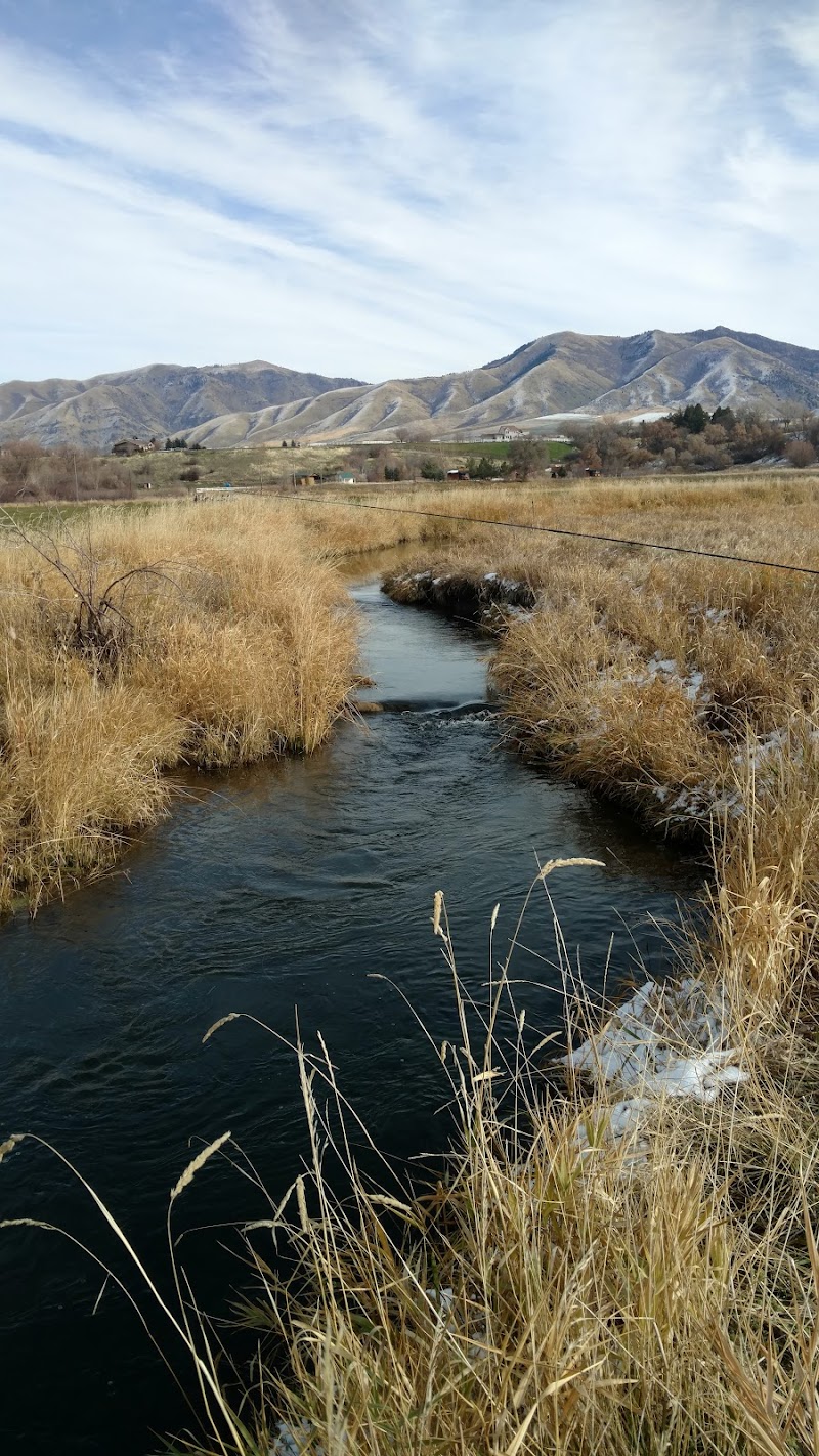White's Ranch - Photo 2