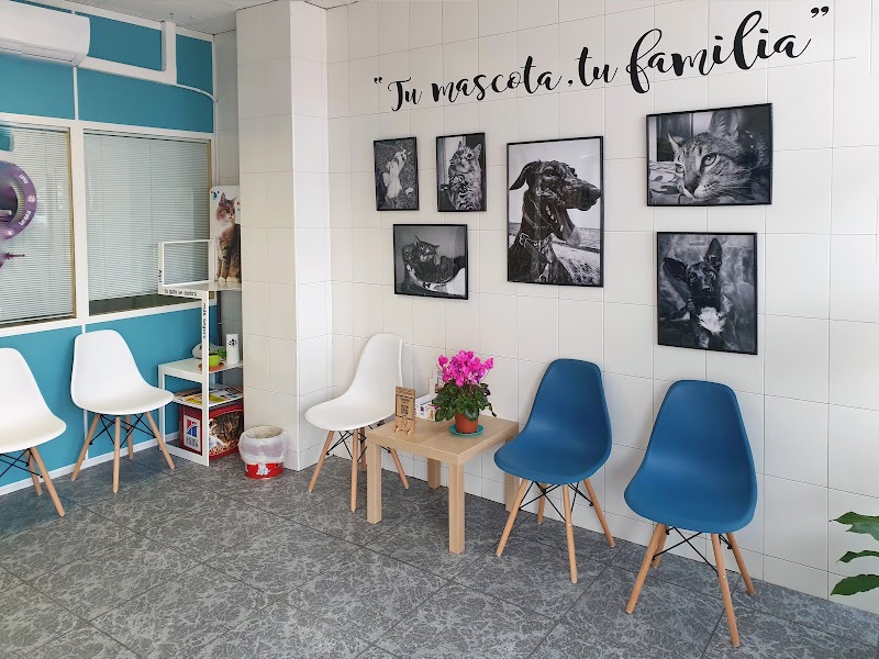 Veterinaria SaludAnimal Casablanca