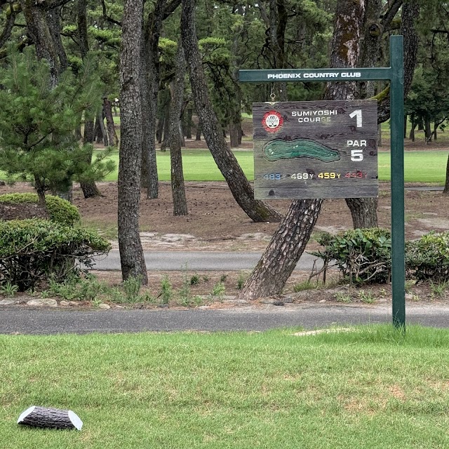 Phoenix Country Club - Photo 8