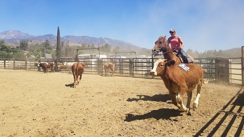 Yucaipa Equestrian Center