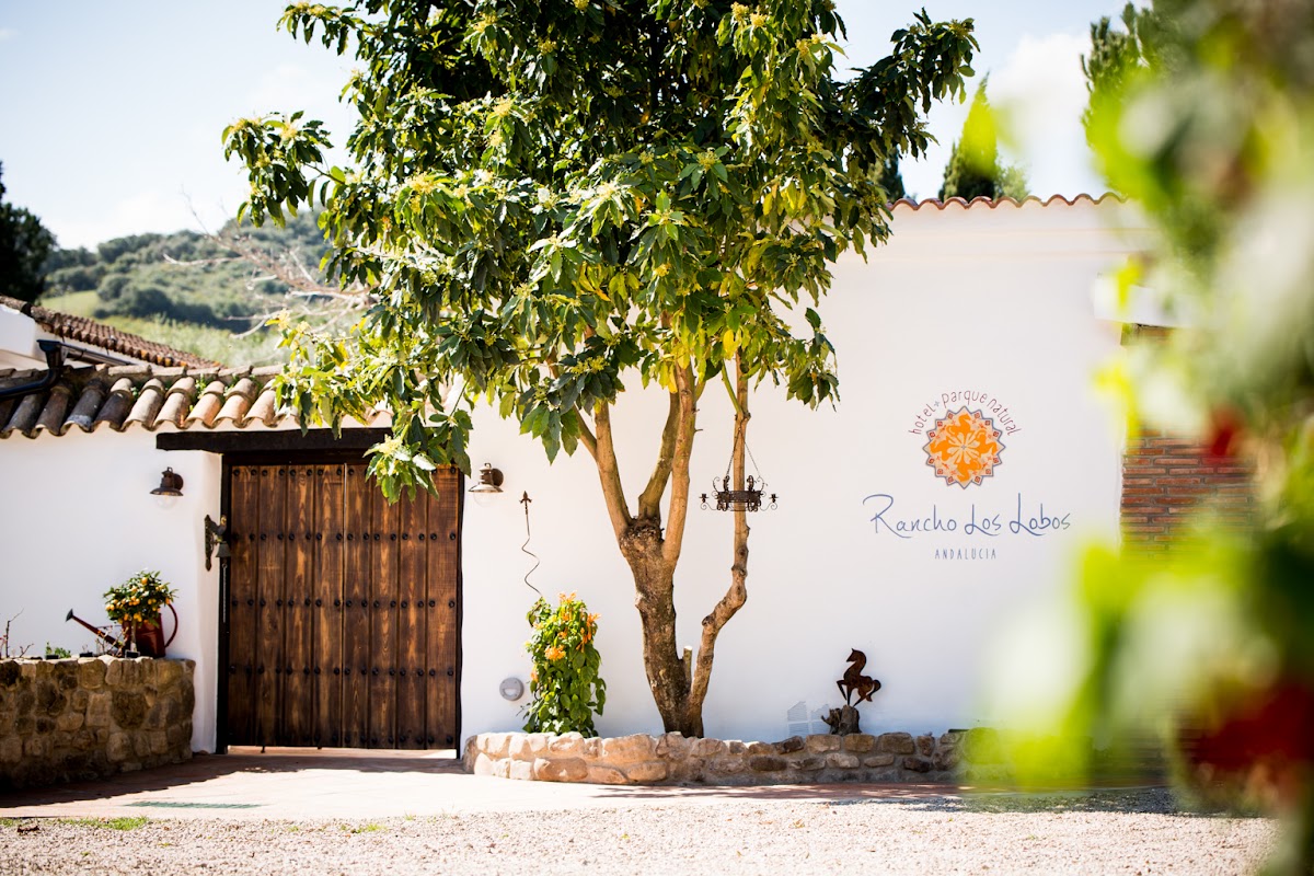 Rancho los Lobos — 4